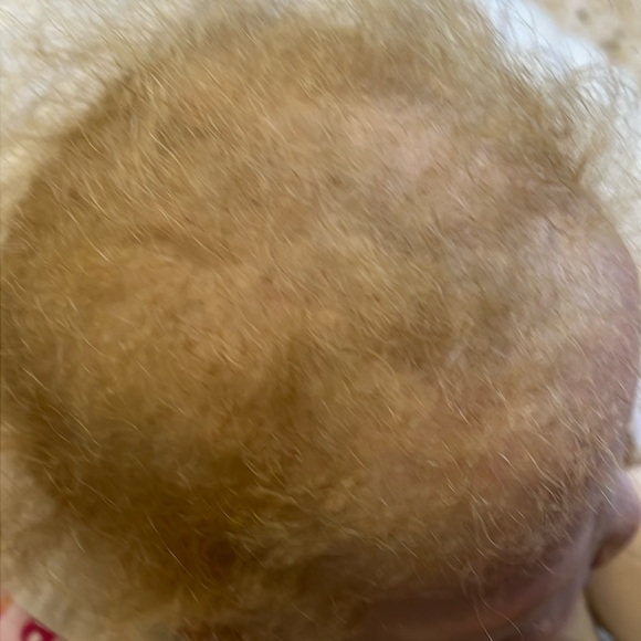 “Stella” reborn doll by Melody Hess. Signed body. EC. LIMITED EDITION of 250 - Picture 12 of 17